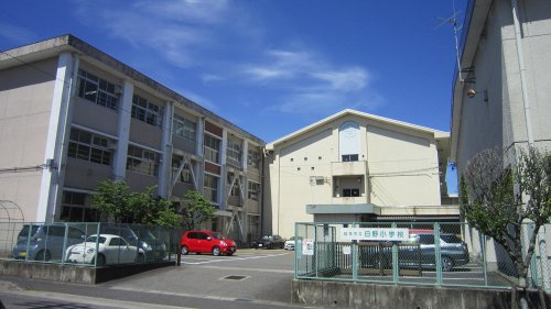 【小学校】岐阜市立日野小学校まで942ｍ