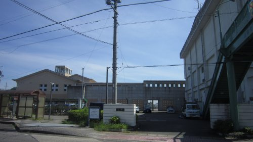 【小学校】山県市立高富小学校まで1159ｍ