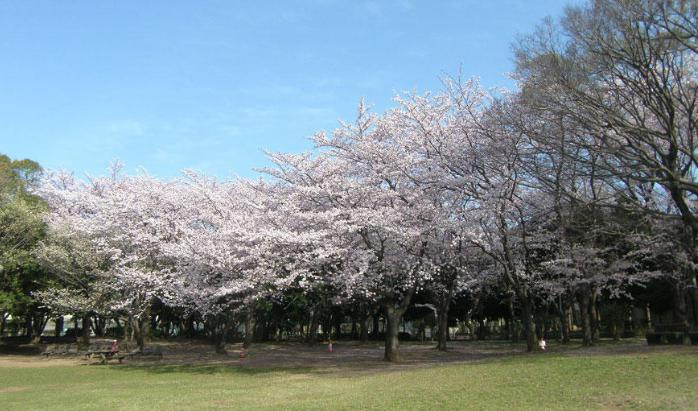 【公園】行田市総合公園まで744ｍ