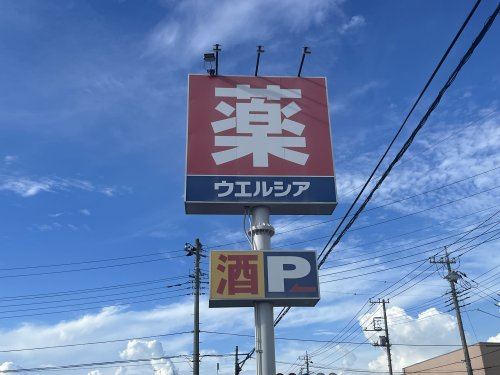【ドラッグストア】ウエルシア行田谷郷店まで1103ｍ