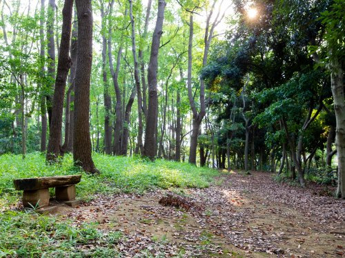 【公園】京浜運河緑道公園まで522ｍ