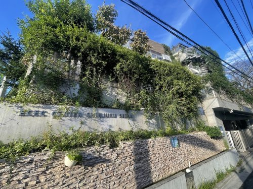 【幼稚園】新宿せいがこども園まで240ｍ