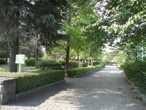 【公園】遠藤公園まで280ｍ