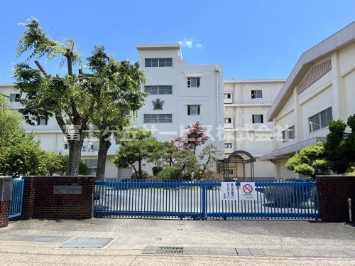 【小学校】静岡市立南部小学校まで1239ｍ