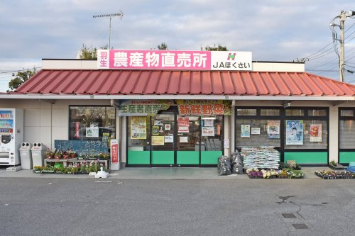 【スーパー】JAほくさい　羽生農産物直売所まで699ｍ