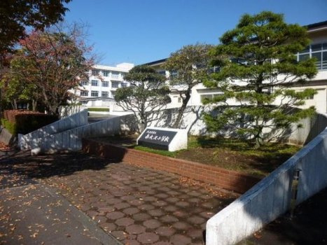 【小学校】南大沢小学校まで510ｍ
