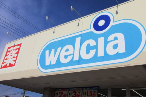 【ドラッグストア】ウエルシア流山向小金店まで1042ｍ
