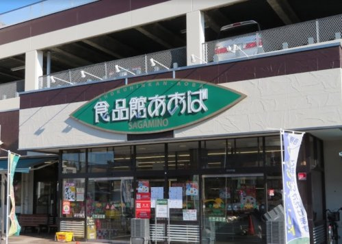 【スーパー】ビックライズ座間さがみ野店まで333ｍ