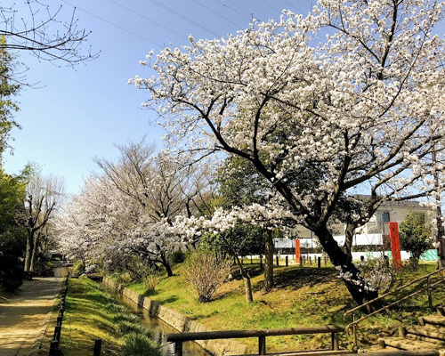 【公園】世田谷区立次大夫掘公園えのきひろばまで537ｍ