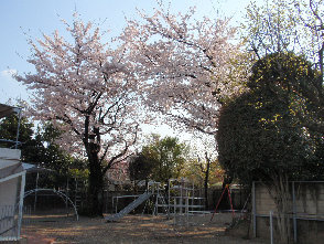 【幼稚園】伊東学園上野毛幼稚園まで981ｍ