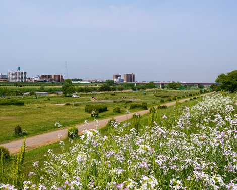 【公園】多摩川遊園まで69ｍ