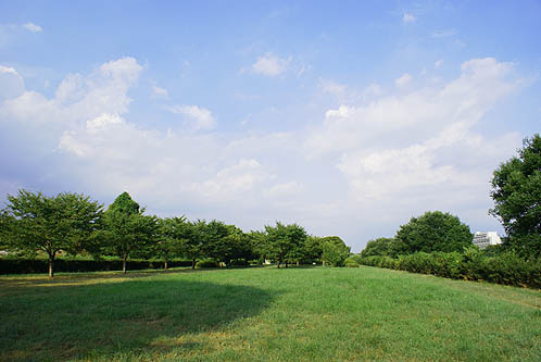 【公園】笹井河川敷公園まで680ｍ