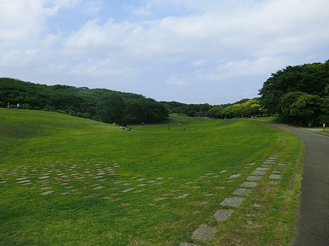 【公園】根岸森林公園まで772ｍ