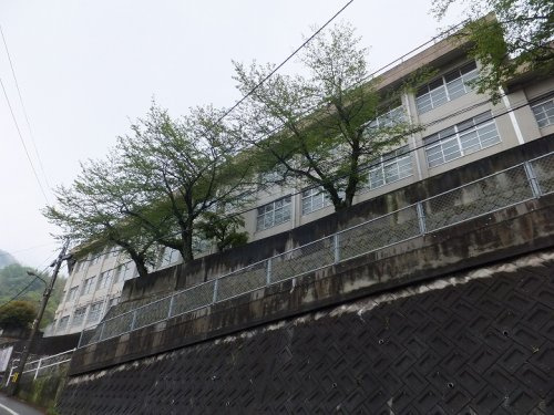 【小学校】坪内小学校まで765ｍ
