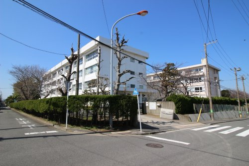 【小学校】望洋小学校まで199ｍ