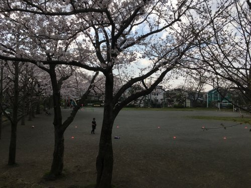【公園】桜が丘1丁目公園まで112ｍ