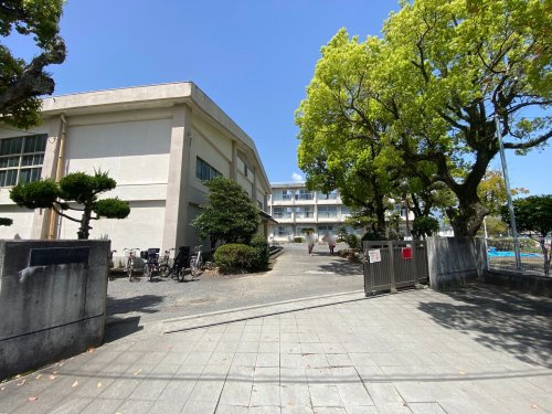 【小学校】静岡市立千代田小学校まで1220ｍ