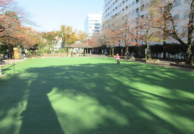 【公園】広尾公園まで2216ｍ