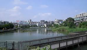 【公園】小池公園まで772ｍ