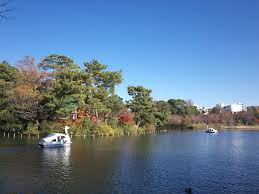 【公園】洗足池公園まで345ｍ