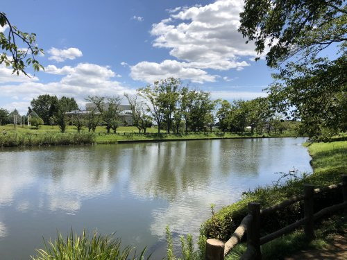 【公園】乙戸沼公園まで1314ｍ