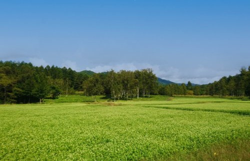 【その他】開田高原キャンプ場まで1078ｍ