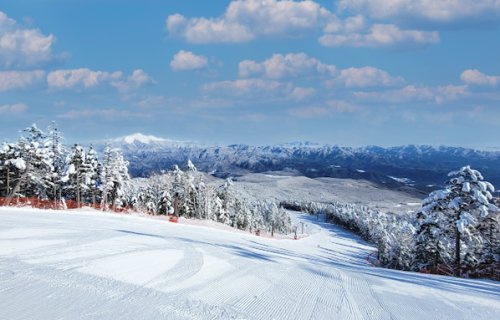 【スポーツ施設】開田高原マイアスキー場まで4298ｍ