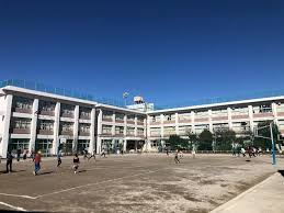 【小学校】大田区立松仙小学校まで496ｍ