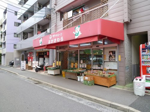 【スーパー】ママチェーンおがさわらまで101ｍ