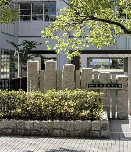 【小学校】尼崎市立難波の梅小学校まで580ｍ