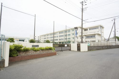 【小学校】茅ヶ崎市立今宿小学校まで244ｍ