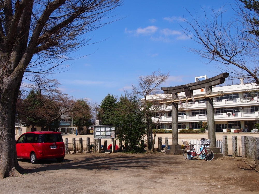 【小学校】野田市立　南部小学校まで780ｍ