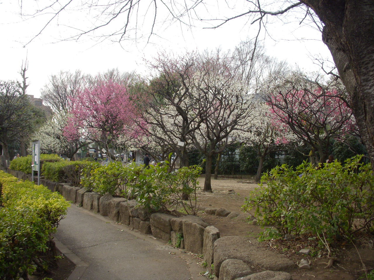 【公園】目黒区立油面公園まで256ｍ