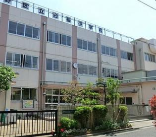 【小学校】中野区立白桜小学校まで870ｍ