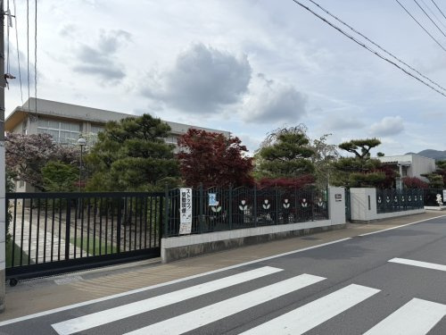 【保育園】ときわ保育園まで542ｍ
