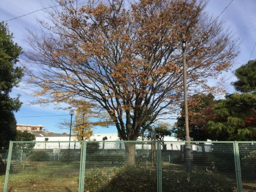 【公園】神台まちかど公園まで1631ｍ
