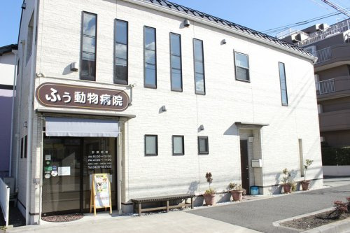 【動物病院】ふぅ動物病院まで2571ｍ