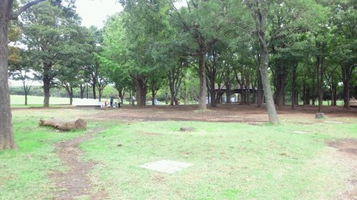 【公園】水元公園　バーベキュー広場まで423ｍ