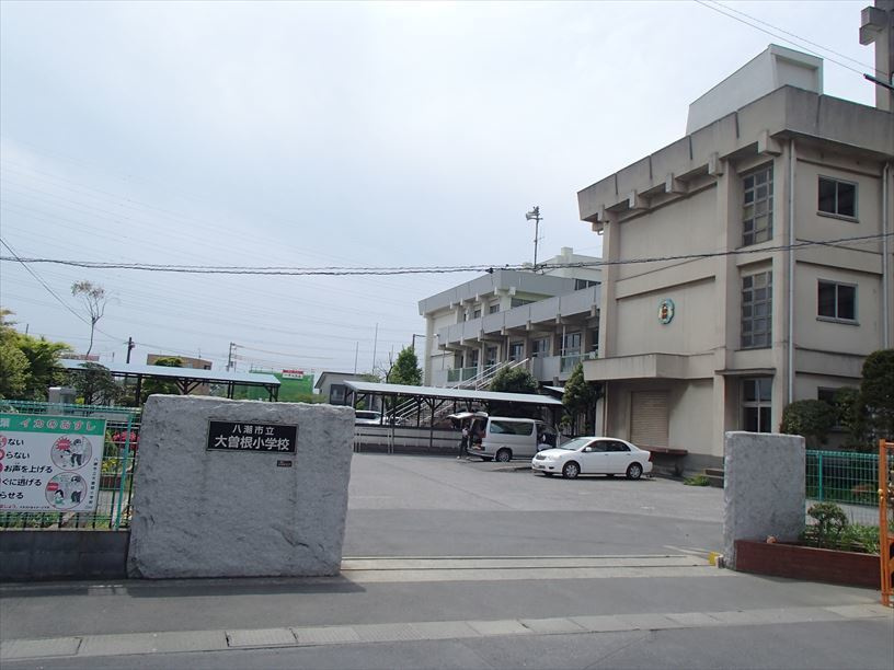 【小学校】八潮市立大曽根小学校まで810ｍ