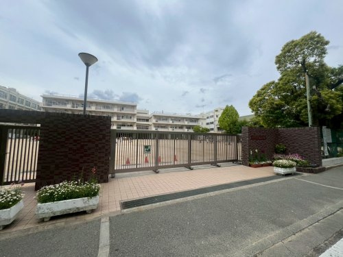 【小学校】尼崎市立大島小学校まで207ｍ