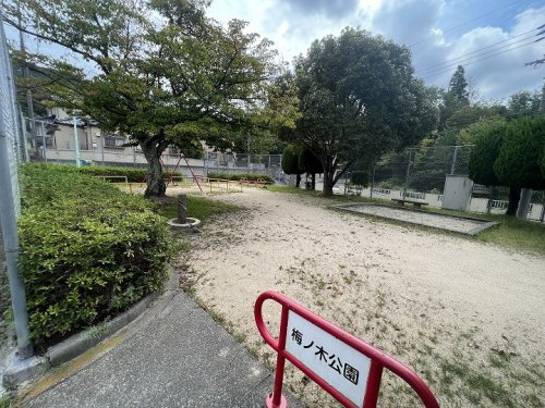 【公園】梅ノ木公園まで217ｍ