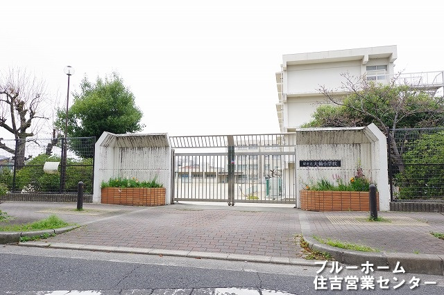 【小学校】大山小学校まで572ｍ