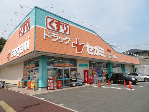 【ドラッグストア】ドラッグセガミ　大町店まで1004ｍ