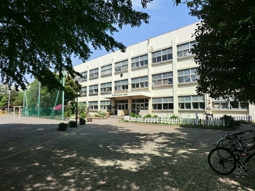 【小学校】大和市立大和小学校まで341ｍ