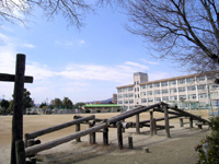 【小学校】川西市立　加茂小学校まで574ｍ