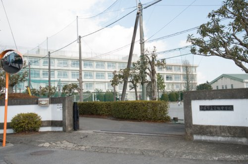 【中学校】平塚市立金旭中学校まで1583ｍ