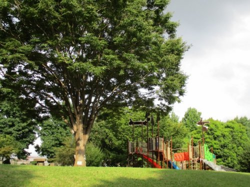 【公園】相模原北公園まで1763ｍ