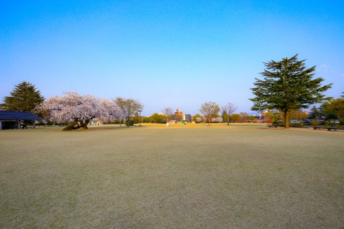 【公園】大和町広場まで1175ｍ