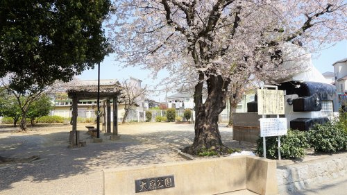 【公園】ふじみ野市/大原公園まで493ｍ