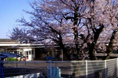 【保育園】明治保育園（藤沢市）まで907ｍ